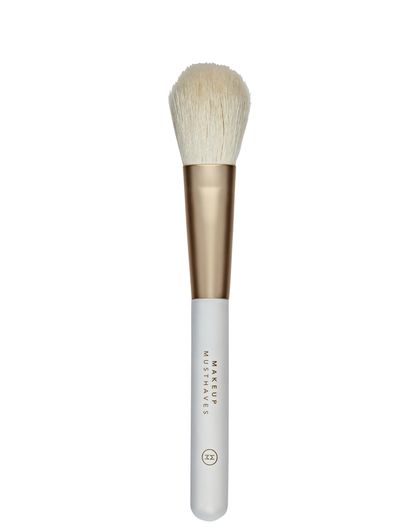 classic blusher brush